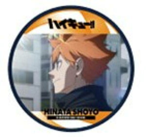 y1-01 ėzzR[X^[RNV ŃnCL[ S~̂ď̌