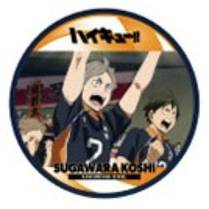 y1-11 FxRzR[X^[RNV ŃnCL[ S~̂ď̌