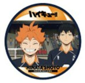 y1-45 ėzeRYzR[X^[RNV ŃnCL[ S~̂ď̌