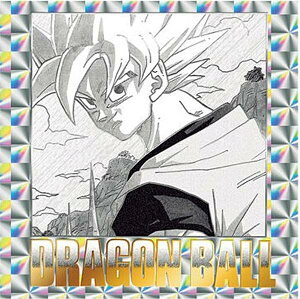 yNo.33 [33] (TCl)zhS{[40NLO IWiCXg[V V[EGn[X