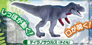 yeBmTEXiqǂjzJvZAjA ƌÑ㐶W-V-