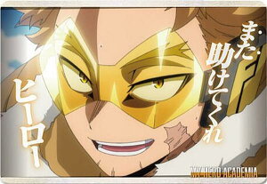 y18 z[NXzl̃q[[AJf~A ^J[hRNV6