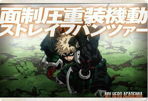 y20 ȁzl̃q[[AJf~A ^J[hRNV6