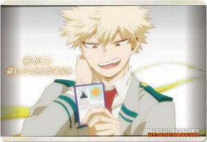 y22 ȁzl̃q[[AJf~A ^J[hRNV6