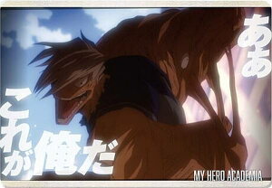 y27 qڑzl̃q[[AJf~A ^J[hRNV6