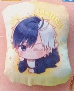 yyzWIND BREAKER 邽ރNbV`[