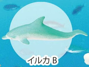 yCJBzCmW:Re~jtBMARNV