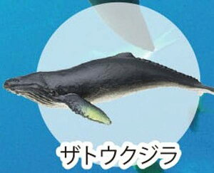 yUgENWzCmW:Re~jtBMARNV