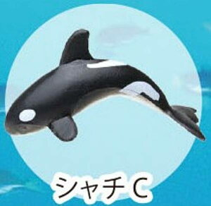 yV`CzCmW:Re~jtBMARNV