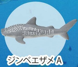 yWxGUAzCmW:Re~jtBMARNV