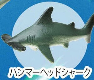 yn}[wbhV[NzCmW:Re~jtBMARNV