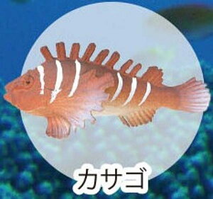 yJTSzCmW:Re~jtBMARNV