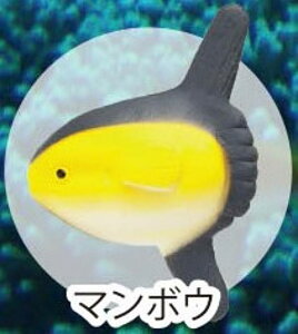 y}{EzCmW:Re~jtBMARNV