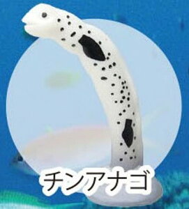 y`AiSzCmW:Re~jtBMARNV