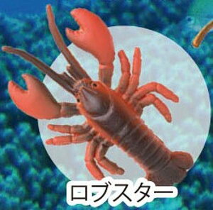 yuX^[zCmW:Re~jtBMARNV