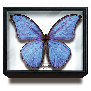 yS_eBtHzTCGXeNjJ[ hCc}OlbgRNV tH