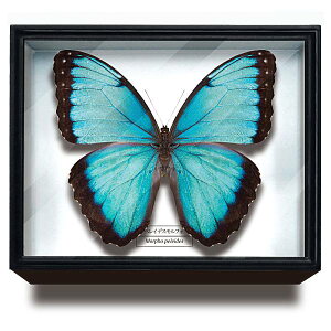 yyCfXtHzTCGXeNjJ[ hCc}OlbgRNV tH