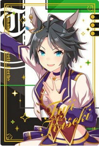 yWSR2-17 tWLZL (LN^[J[hA) zE} veB[_[r[ cCEGn[X Special R 2025