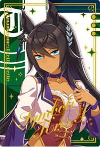 yWSR2-22 V{NXGX (LN^[J[hA) zE} veB[_[r[ cCEGn[X Special R 2025