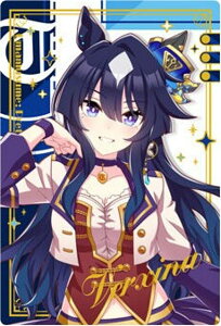 yWSR2-25 BV[i (LN^[J[hA) zE} veB[_[r[ cCEGn[X Special R 2025