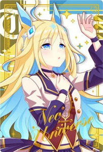yWSR2-26 lIj@[X (LN^[J[hA) zE} veB[_[r[ cCEGn[X Special R 2025