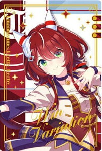 yWSR2-29 ECoAVI (LN^[J[hA) zE} veB[_[r[ cCEGn[X Special R 2025