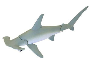 yVNUzׂ鐶tBMAV[Y UEV[N W!L̂Ȃ