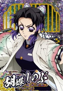 y[zOdl] W10-30 Ӓ̂ (SR X[p[A/LN^[J[h) zSł̐nEGn[X10