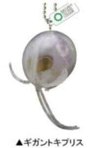 yMJgLvXzlC`[eNjJ[MONO PLUS [C }Olbg&{[`F[2