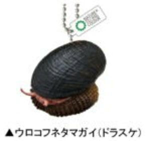 yERtl^}KC(hXP)zlC`[eNjJ[MONO PLUS [C }Olbg&{[`F[2