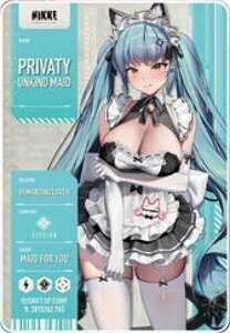 �y�v���o�e�B�F�A���J�C���h�E���C�h�z�����̏��_:NIKKE ���^���b�N�p�X�R���N�V���� Ver.3