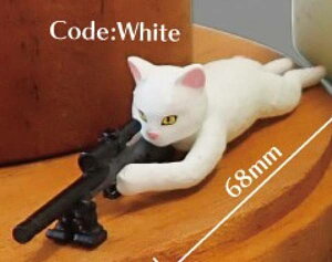 yCodeFWhitezXjCp[