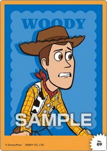 yNo.09 EbfBzgCEXg[[ NAJ[hRNVK J[ĥ