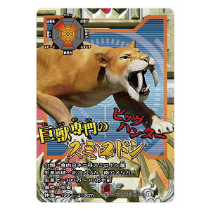 y5.X~hzŋ} -The Ultimate Battles- ~j`AJ[hAN