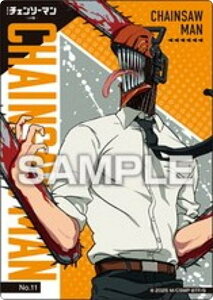 yNo.11 `F\[}z `F\[} [ NAJ[hRNVK J[ĥ