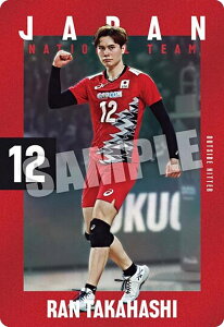 y2-10  (m[}J[h) zJAPAN NATIONAL VOLLEYBALL TEAM cCEGn[X 2025