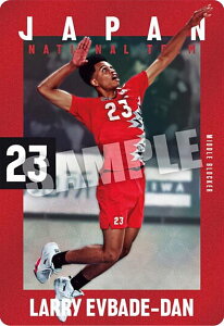 y2-15 Gof_E[ (m[}J[h) zJAPAN NATIONAL VOLLEYBALL TEAM cCEGn[X 2025