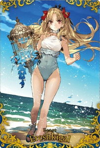 y31 r[Xg/GVLK (SR X[p[A) zFate/Grand Order EGn[X14