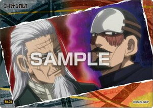 yNo.24 yΎOߌсzS[fJC NAJ[hRNVK J[ĥ