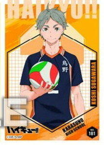 yNo.181 FxznCL[!! NAJ[hRNVK5 J[ĥ