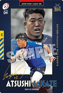 �y[�������T�C��] 1-28 ���~�j/��ʃp�i�\�j�b�N���C���h�i�C�c (R ���A) �zJAPAN RUGBY LEAGUE ONE �c�C���E�G�n�[�X