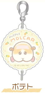 y|egzPUI PUI J[ ӂNfUC Ȃ! AN`[