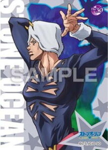 yNo.30 EFU[E|[gzWW̊Ȗ` Xg[I[V NAJ[hRNVK J[ĥ