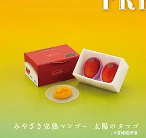 y݂₴n}S[ z̃^}Szv~At[c ~j`ARNV