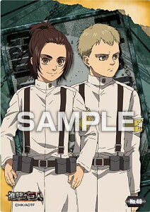 yNo.49 Kr&t@Rzi̋l NAJ[hRNVK2 J[ĥ