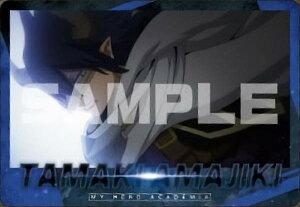 y13.Vzl̃q[[AJf~A ^J[hRNV4