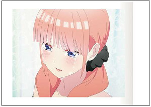 yT (`肪Ƃ̉ԁ`)zf ܓ̉ԉ ςႱ