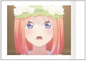 ylt (`肪Ƃ̉ԁ`)zf ܓ̉ԉ ςႱ