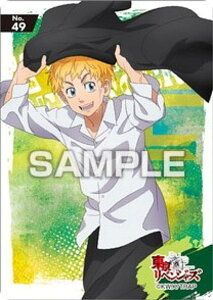 yNo.49 Ԋ_zxW[Y NAJ[hRNVK2 J[ĥ