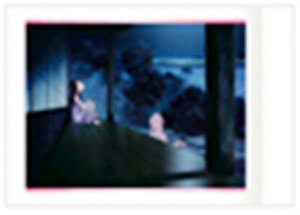 y06.ق̂ (m[}) zӂ̓vLA ςႱ